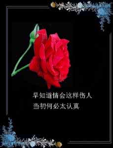 真爱音画论坛 音画===真爱放手===