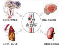 治高血压的野菜 治高血压