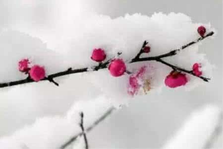 倒春寒来袭 下周“倒春寒”来袭！南方雨雪纷纷