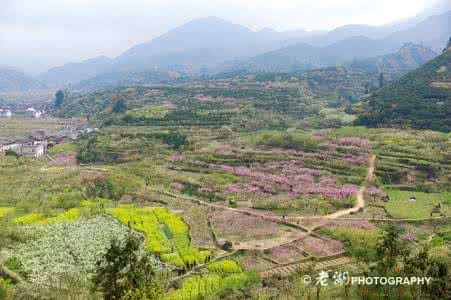 乐昌市九峰山三华李 沿溪山白毛尖-----广东省乐昌市境内的九峰山脉