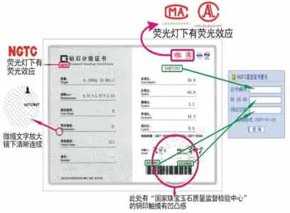 小普林尼 小普林尼的简介 小普林尼的评价是怎样的