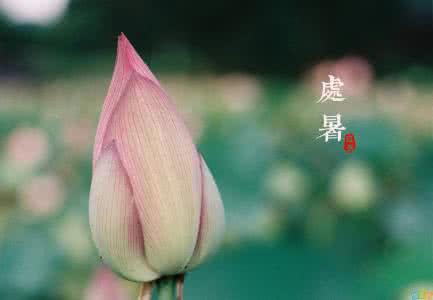 处暑养生 处暑怎样养生