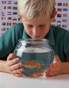 孩子有自私的坏习惯怎么办