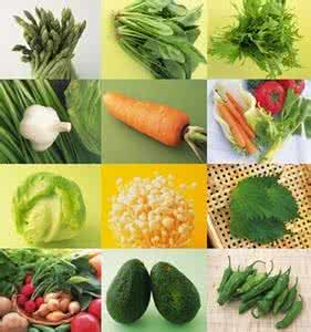 碱性蔬菜 碱性蔬菜是什么意思