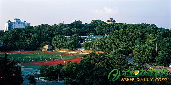 武汉大学一日游 2014年2月5日游武汉大学