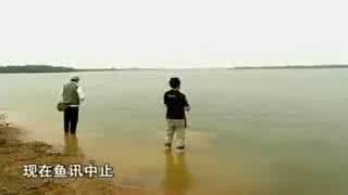初夏钓鲫鱼技巧 初秋钓鱼技巧