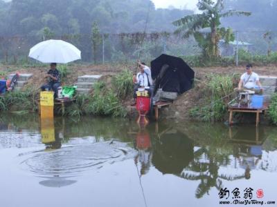 珠海钓鱼网 珠海钓鱼网 珠海钓鱼地点收集