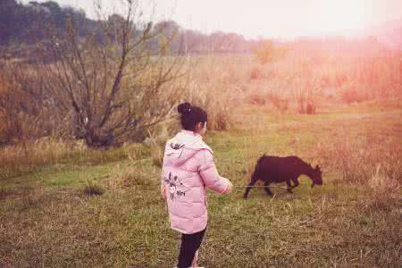 湖边有棵许愿树 湖边有棵许愿树 娃1010++a_湖边有棵许愿树