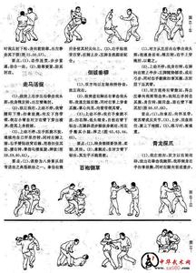 八卦掌技击与实战视频 八卦散手实战技击术