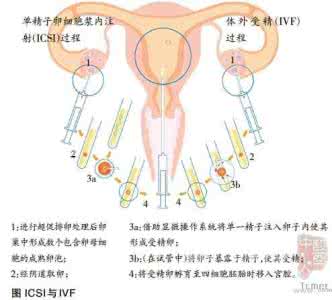 吸毒会影响生育能力 乙肝影响生育吗 乙肝影响生育能力吗