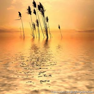 婚姻很近幸福很远 幸福很远，孤独很长