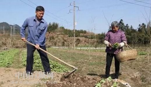 夫妻相濡以沫的句子 相濡以沫夫妻情