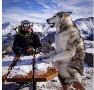 一场说走就走的旅行 一人一狗一场说走就走的旅行
