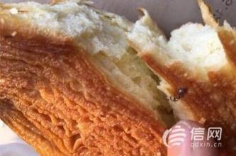 手撕面包 手撕面包吃出钢丝球残渣 厂家称这事很正常