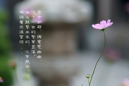 很深奥的人生感悟段子 一段人生,一段领悟(人生感悟)