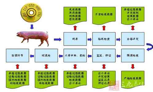 当心！12个恶习让你疲惫不堪，真是监控杀手