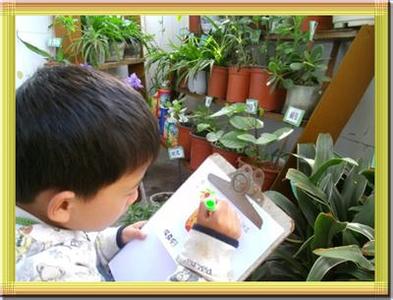 最全的脾胃养生小常识 最全的生活小常识——自己收集整理的小东东，很管用哦！家庭主妇一定要收藏！