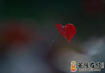 人生本过客何必千千结 人生不过过客 何必千千结【美文欣赏】