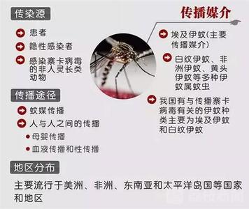 厦门寨上摊位 厦门开展春季爱国卫生行动 防范寨卡病毒