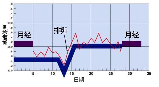 生完孩子月经周期变短 月经周期关系未来孩子