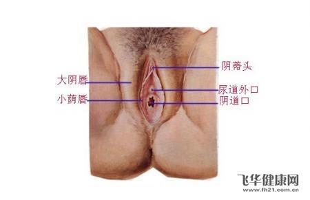 怎么样才容易受孕 排卵期怎么做容易受孕