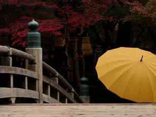 很精辟的句子说说心情 人情不过一阵雨 精辟 过(精辟!)