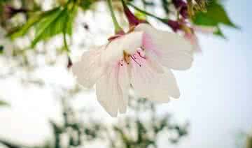 哥儿 你牢牢记住 ????45岁以上的朋友，请牢牢记住这10句话