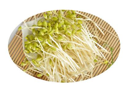 黄花菜炒豆芽 堪比砒霜的有毒食物大盘点 无根豆芽黄花菜会要你的命！