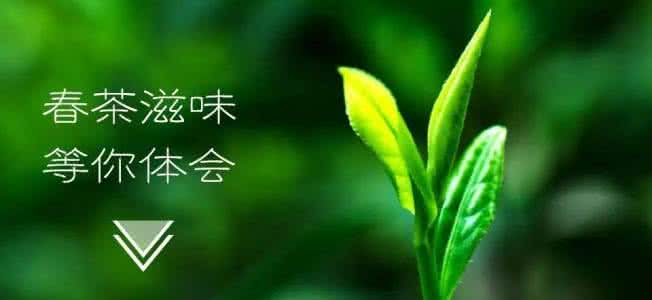 春茶 你可能正在喝假春茶！对应这15款春茶上市时间点看看中招没？