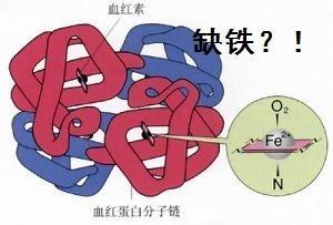 失眠的临床表现有哪些 失眠的临床表现有哪些 黄热病的临床表现有哪些