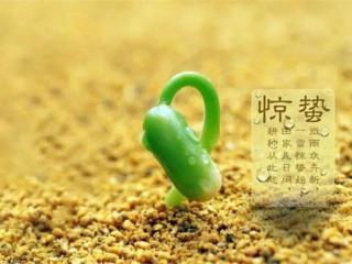 脂肪肝的食疗方法 惊蛰食疗方法