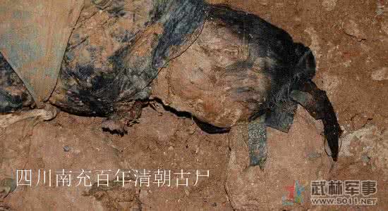 四川南充百年清朝古尸 四川南充百年清朝古尸为什么烧了？究竟是真的吗？