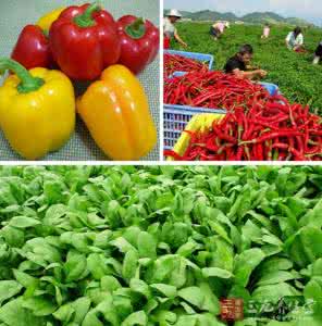 生活小常识生活小窍门 生活小常识：【买菜的窍门】~