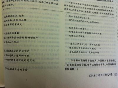 怎么评价别人写的诗 评诗