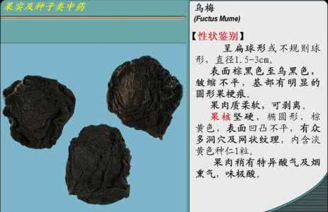 如何辨别真假乌梅 如何辨别真假乌梅 乌梅的真假辨别方法