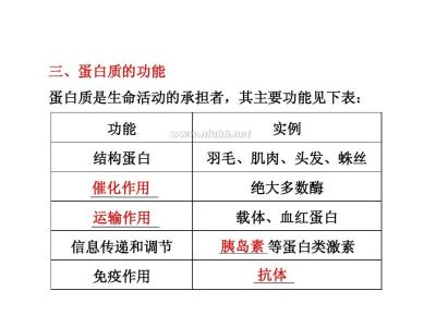氨基酸的种类 氨基酸的种类有多少 氨基酸的种类有哪些?