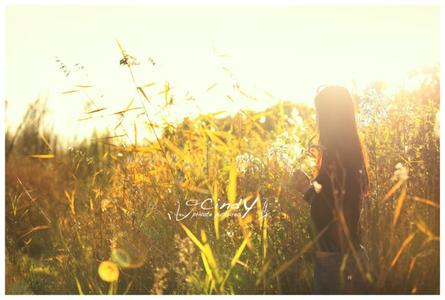 青春就是用来追忆的 歌 青春就是用来追忆的