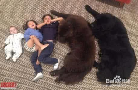 令人感动 孩子和宠物之间的独特友谊总是那么令人感动!