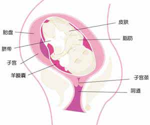 怀孕39周注意事项 怀孕39周注意事项 孕三十九周注意事项