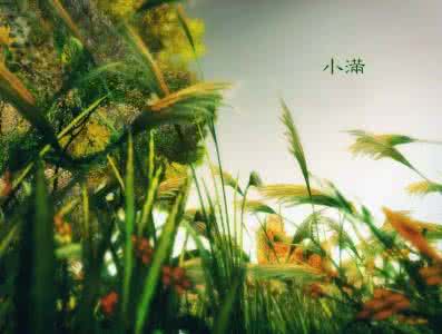 小满节气的天气