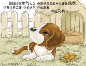 妈妈的爱 一张图告诉你妈妈的爱无条件但要有原则