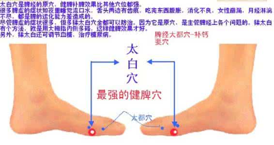 脾胃虚弱怎么调理 标精   脾胃虚弱怎么调理（一）