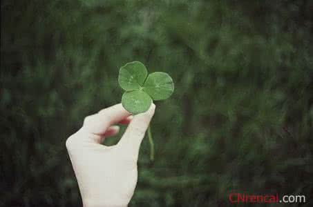 让心灵安静的歌曲 有一种美，叫心灵的安静