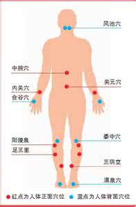 中医推荐人体十大养生要穴 能助您强身健体