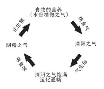 武当壮阳功紫阴回春术 论命门火与阳回阴生