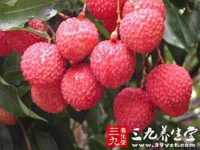 健脑丸的功效与作用 荔枝的功效与作用 夏季提神健脑必备佳品