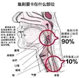 阴道炎的病因是什么 阴道出血的病因是什么