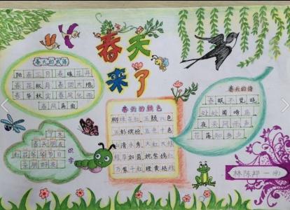 春天手抄报图片大全 春天手抄报图片