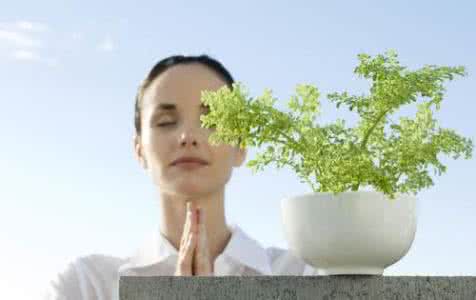 睡眠的黄金时间是指 白领养生的黄金时间