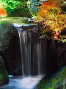 岁月静好 水静而鉴，火静而朗，心静而慧